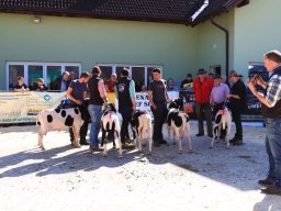 2019_ausstellung polling_648